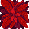 leaves-simba leaves-simba