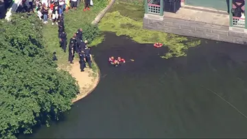 NYC larceny suspect jumps in lake in failed attempt to evade cops: police