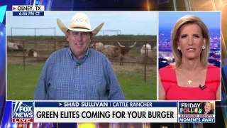War on beef: Green elites could be coming for your burger - Fox News