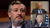 Sen. Ted Cruz warns US government headed toward shutdown: 'Odds very high'