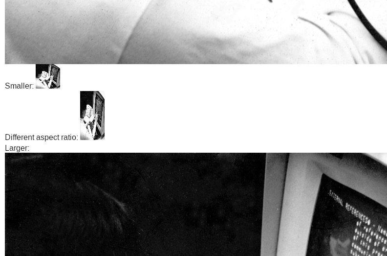 Figure 3: Rendering of an example with images after scrolling to aspect-ratio differences.