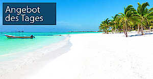 Angebot des Tages