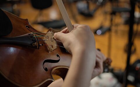 VSL Synchron Solo Strings Violin 1 Cello Sordino