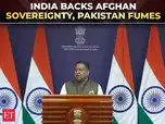 Image for MEA: India committed to Afghan sovereignty; slams Pak for terrorism