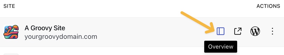 The Overview icon that appears when hovering over a site in the Sites list.