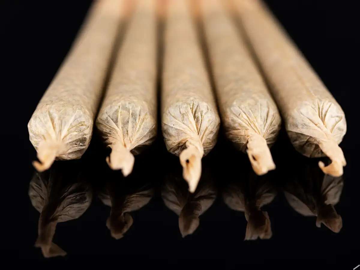 Europe’s weed map: Where you can light up legally:Image