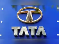 Tata stocks lose over Rs 8 lakh crore in 11 months. Is it time to revisit your portfolio allocations?