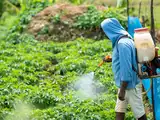 Fertiliser companies may get relief as subsidy inversion issue lingers