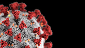 Decoding COVID-19 thumbnail