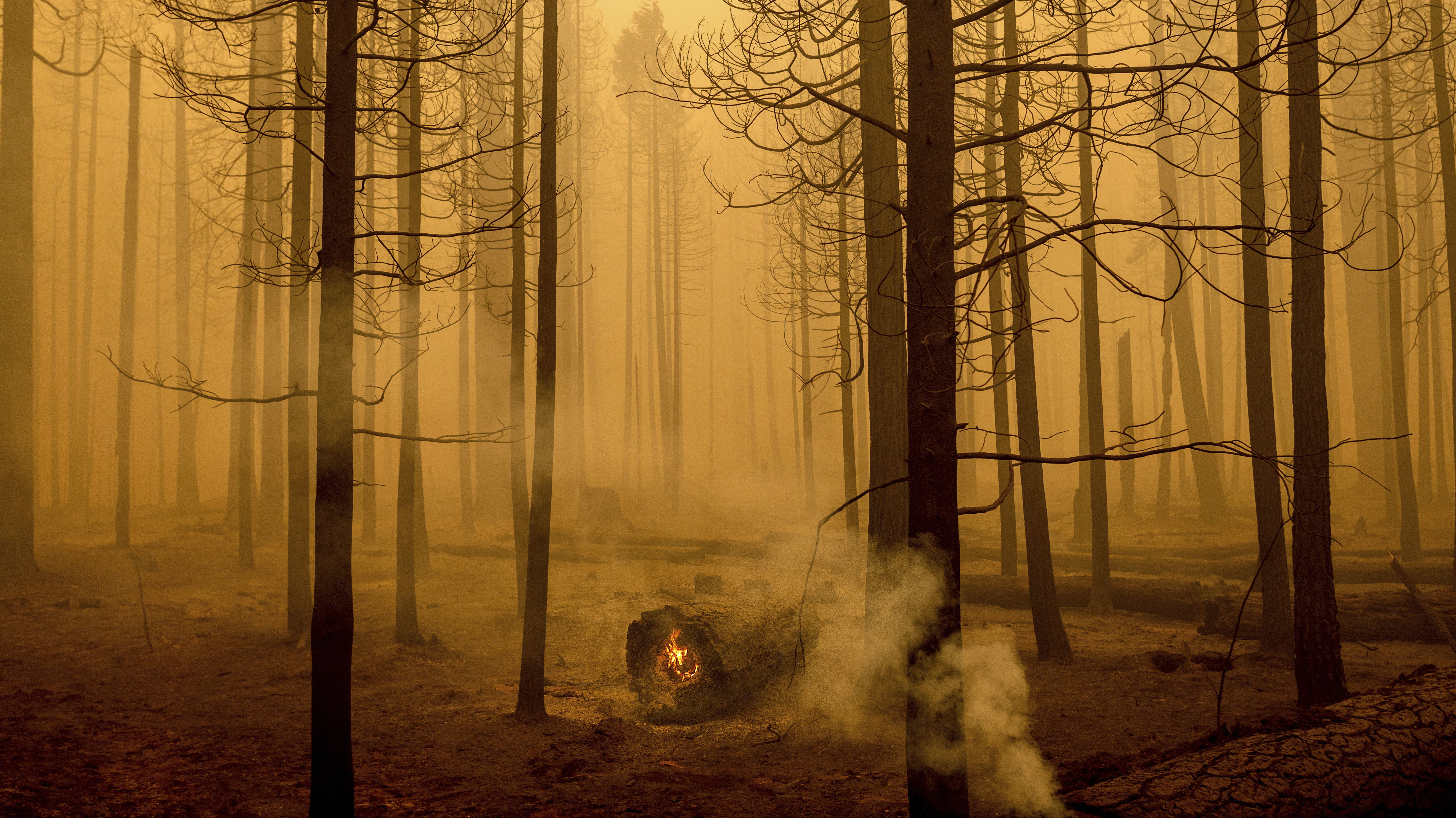 Dixie, Bootleg, Goose. How Wildfires Get Their Name