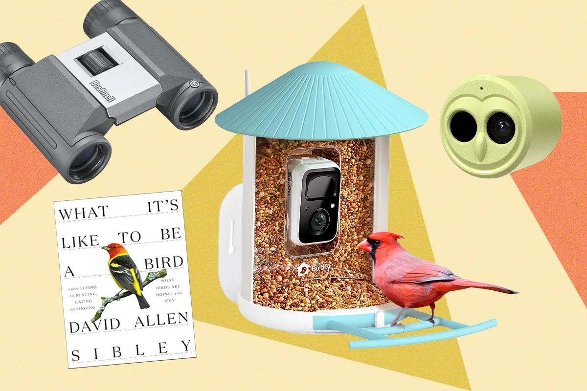 The 15 Best Gifts for Bird Lovers