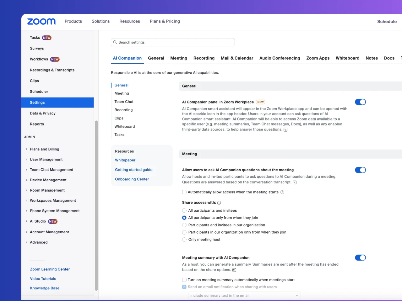 User and In-Meeting controls