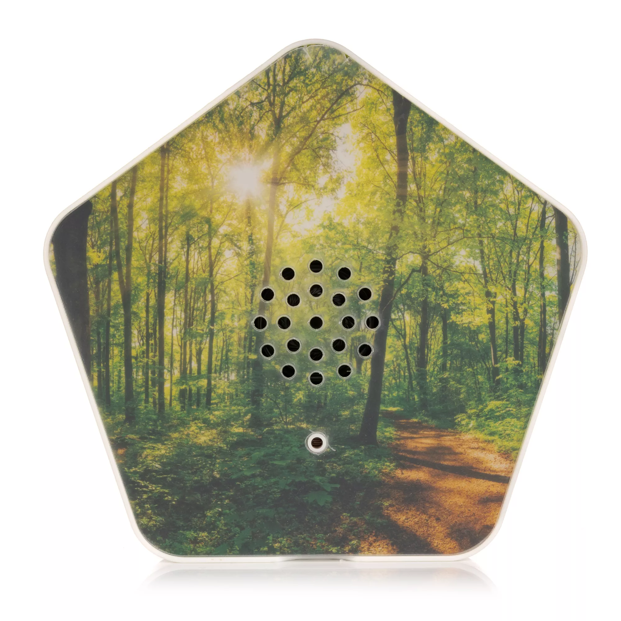 OLYMP Sounds of Nature Box 4 Naturklänge wählbar Bewegungssensor 12 wechselbare Motive