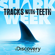 Sharks (Discovery Channel) - Josh Ralph