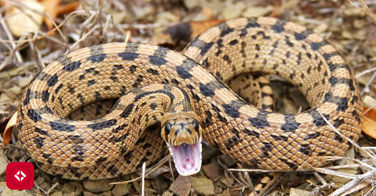 Reverse String in Python