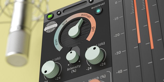 Voxessor Manual