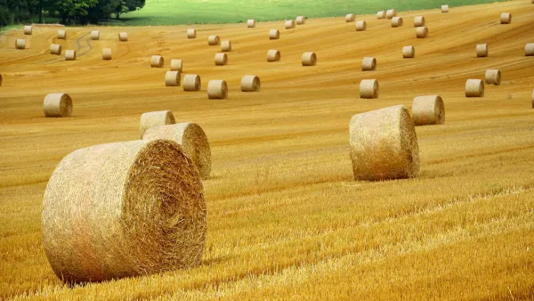 Agricoltura