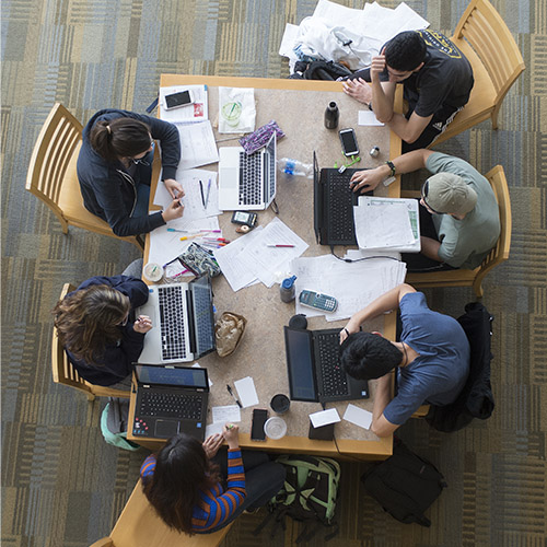 Students working in the library
