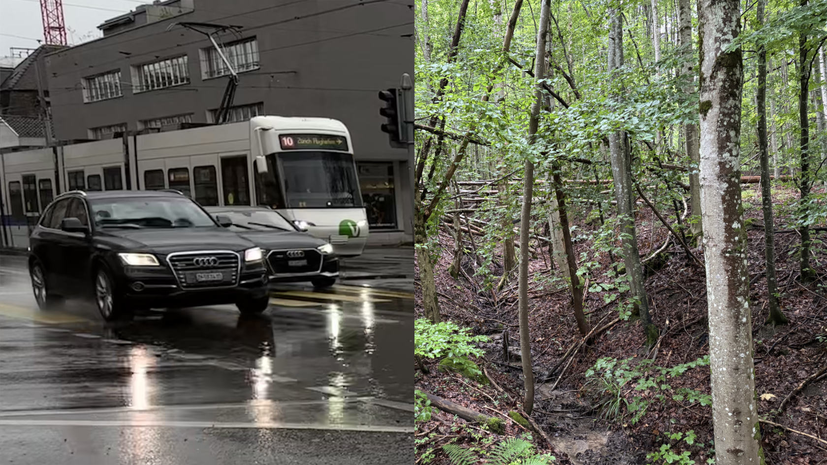 Composite of urban traffic and woodlands in the rain